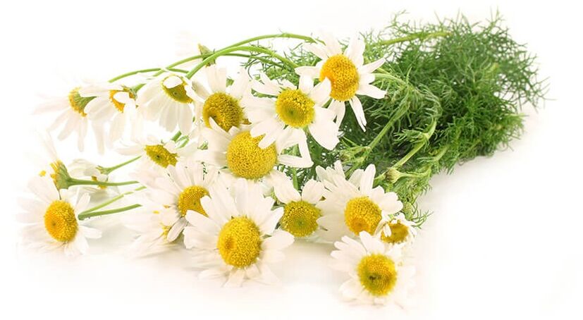 Keramiin sisaldab kummelit